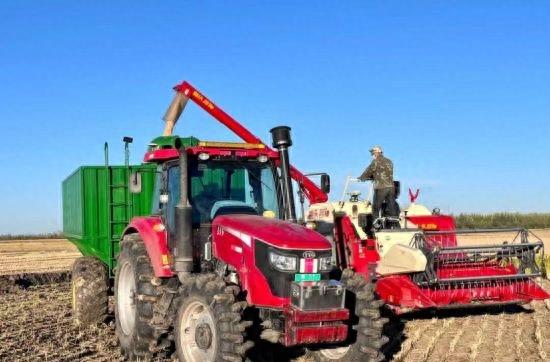 双鸭山市宝清县：水稻亩产增收180公斤