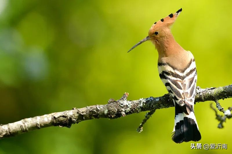 100个描写天气的词语,20个描写天气的雅称