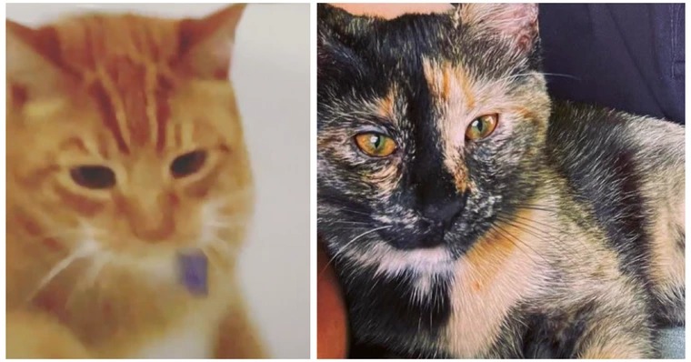 澶栧浗灏忓摜鍚愭Ы濂崇敓,澶栧浗灏忓摜鍚愭Ы宸ヤ綔