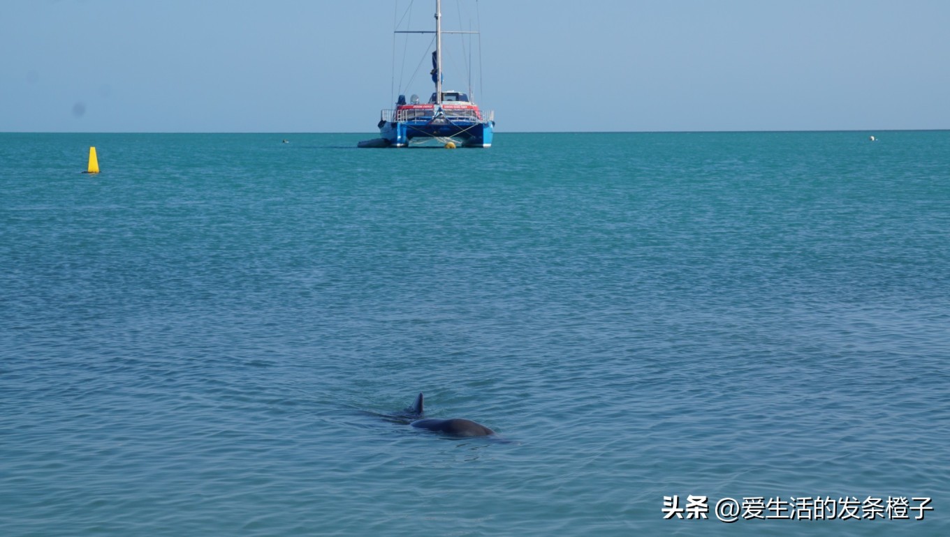 一路向北全程1980公里,西澳自驾游最佳路线图