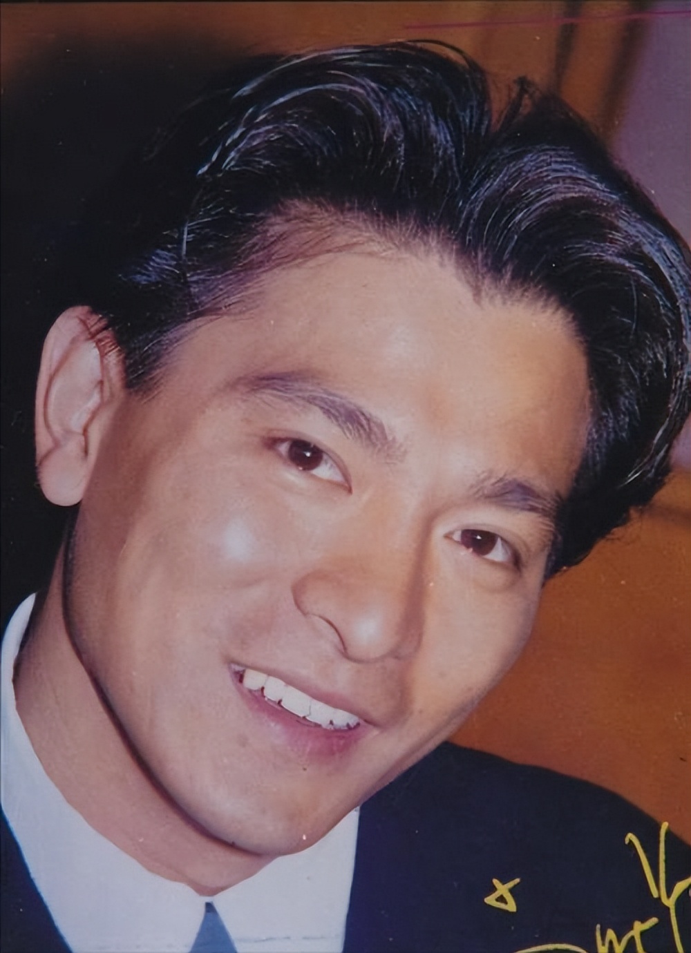 朱丽倩刘德华生了几个孩子,朱丽倩为刘德华生了几个孩子