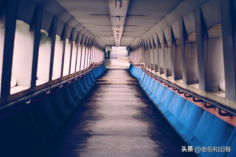 罗生门和黄粱梦,罗生门香港live