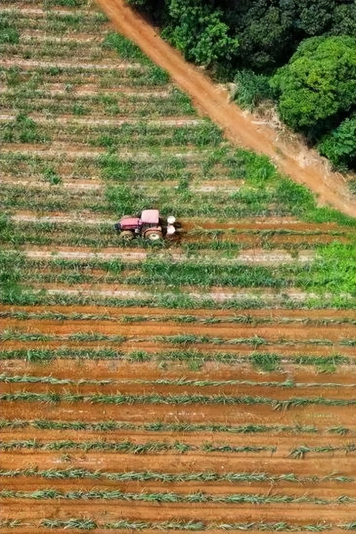 航拍中国广西第四季解说词,航拍中国第四季广西在哪看