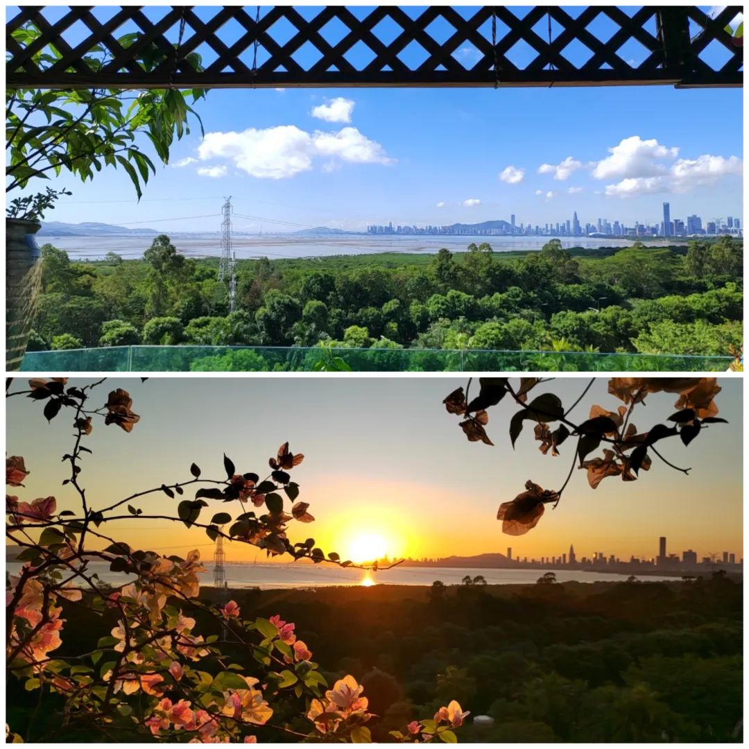 很多人羡慕的阳台,让别人羡慕的阳台