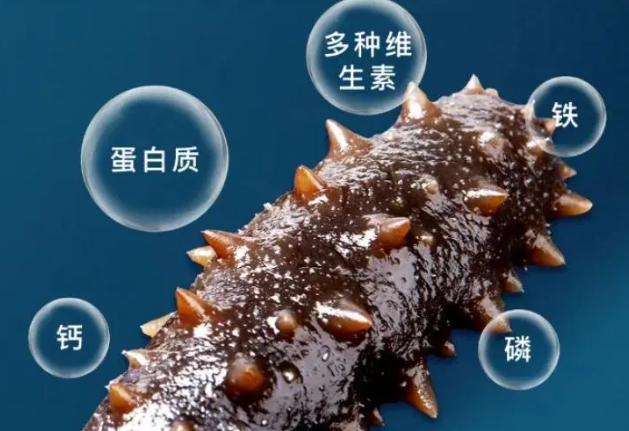 什么品牌海参质量最好最便宜,市场海参最好的是哪种