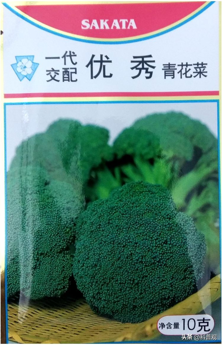 日本垄断中国市场百分之多少,日本垄断的西兰花