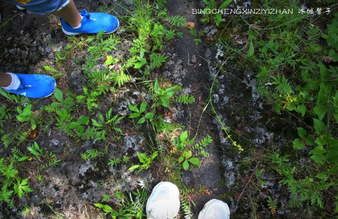 火山口国家森林公园与地下森林,清凉度夏探秘地下森林