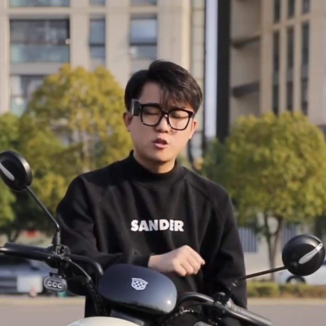 电瓶车品牌十大排行榜第一,电车品牌十大排行榜