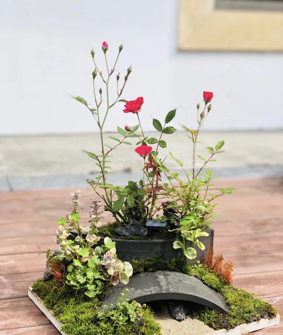 邻居扔垃圾屡教不改,邻居总是扔垃圾在花坛