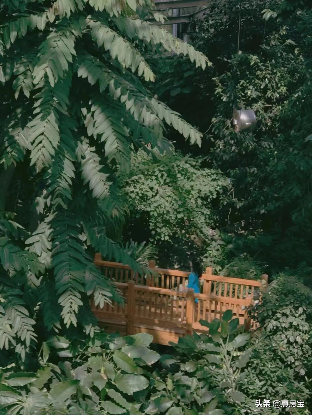 上海公园免费,上海免费公园排行