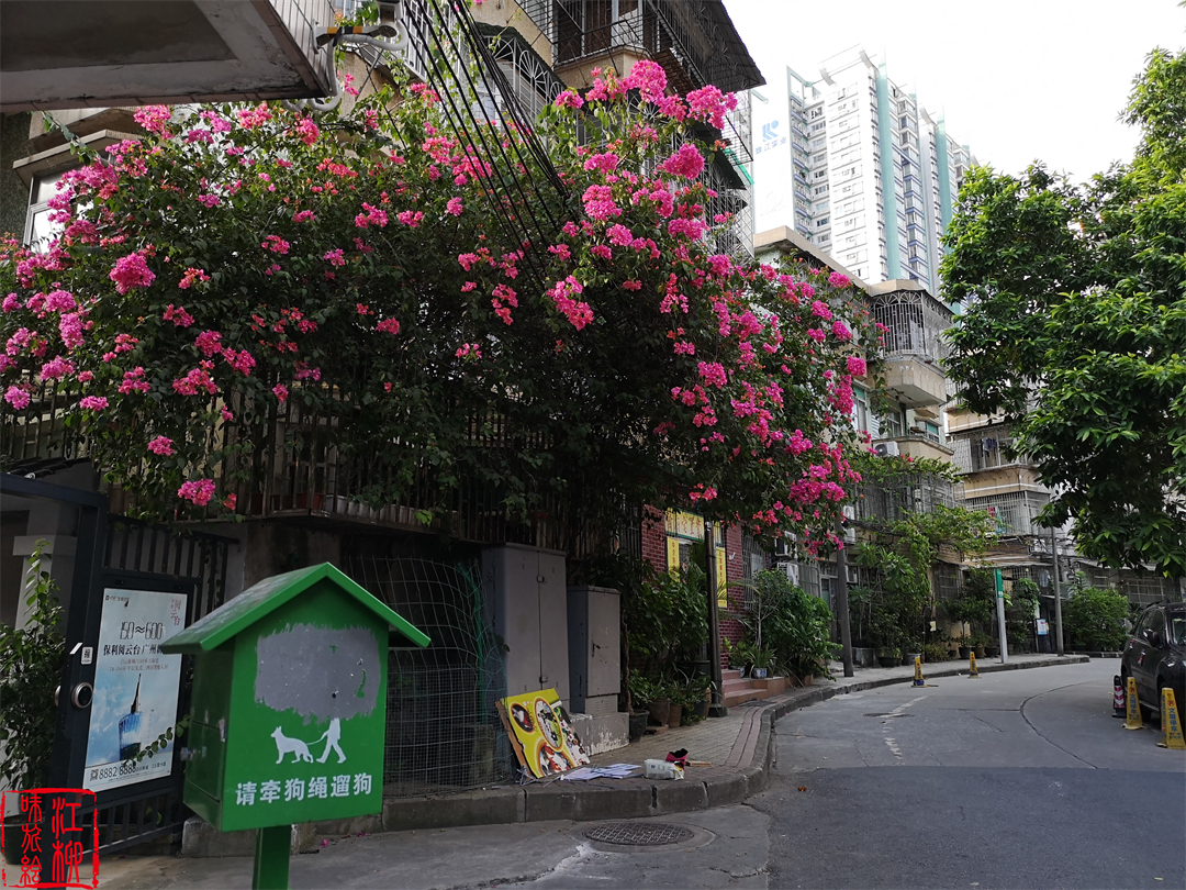 广州华侨新村以前是什么人住,广州华侨新村真实生活