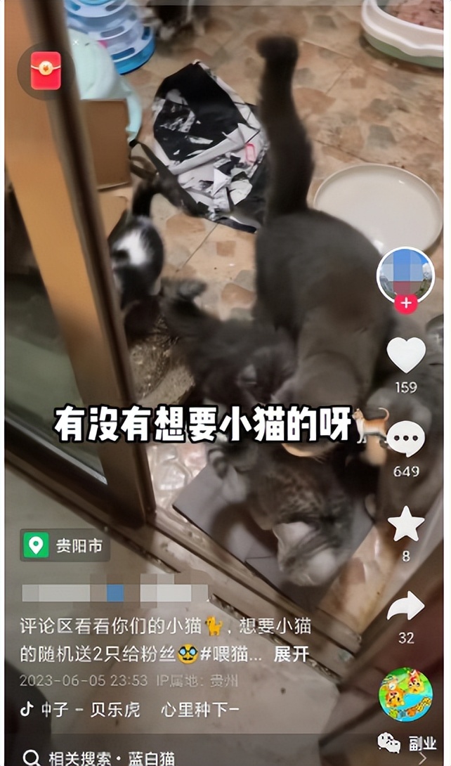 猎人先生商业经，0成本空手套白狼，流量变现从未如此简单！