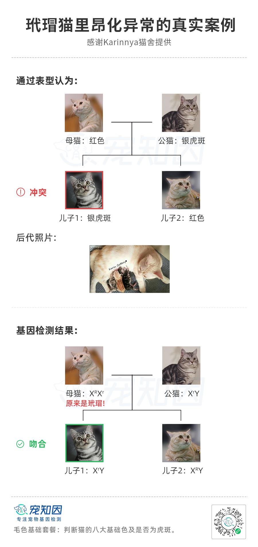 基因技术重大突破,基因科技的重大突破