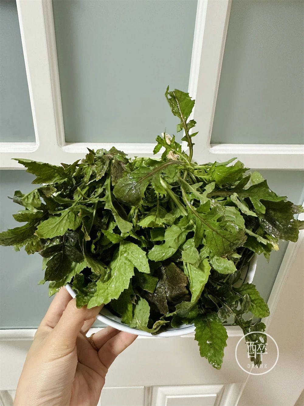 去成都哪里吃牛肉好吃,成都出发4天攻略