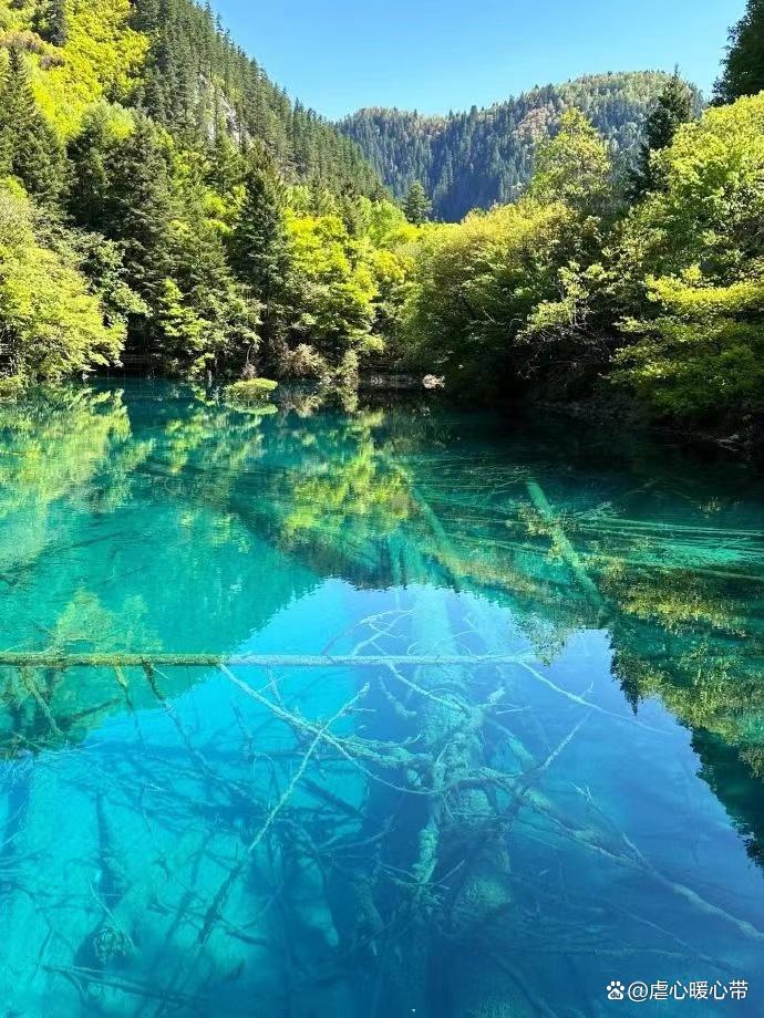 去九寨沟的旅游攻略自由行,去九寨沟玩应该怎么规划