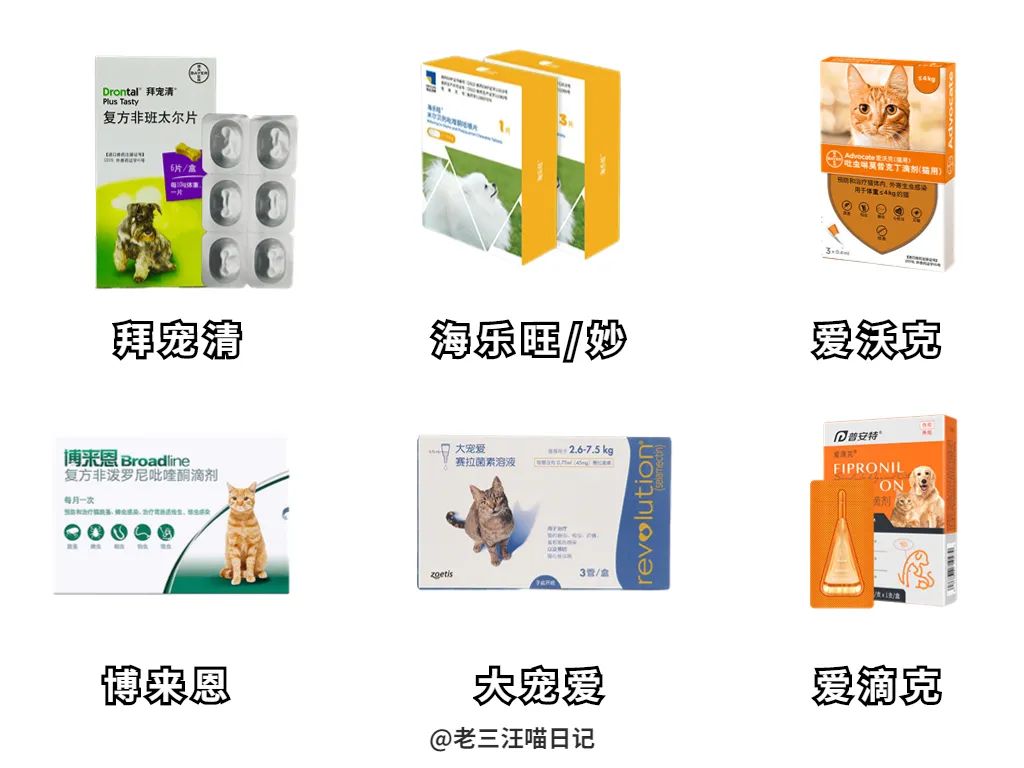 狗子为啥越喂越瘦,狗子越来越瘦但是很能吃