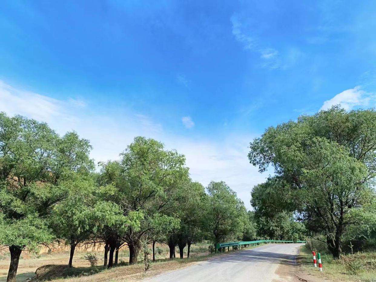 兄弟姐妹之间永远不要空着手来往,人到老了才明白兄弟姐妹之间交往