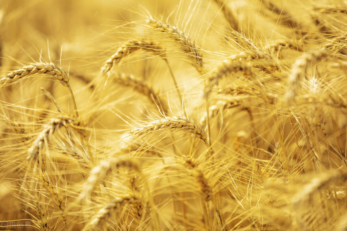 股价的涨跌和公司盈利有关吗,股价的涨跌跟什么有关