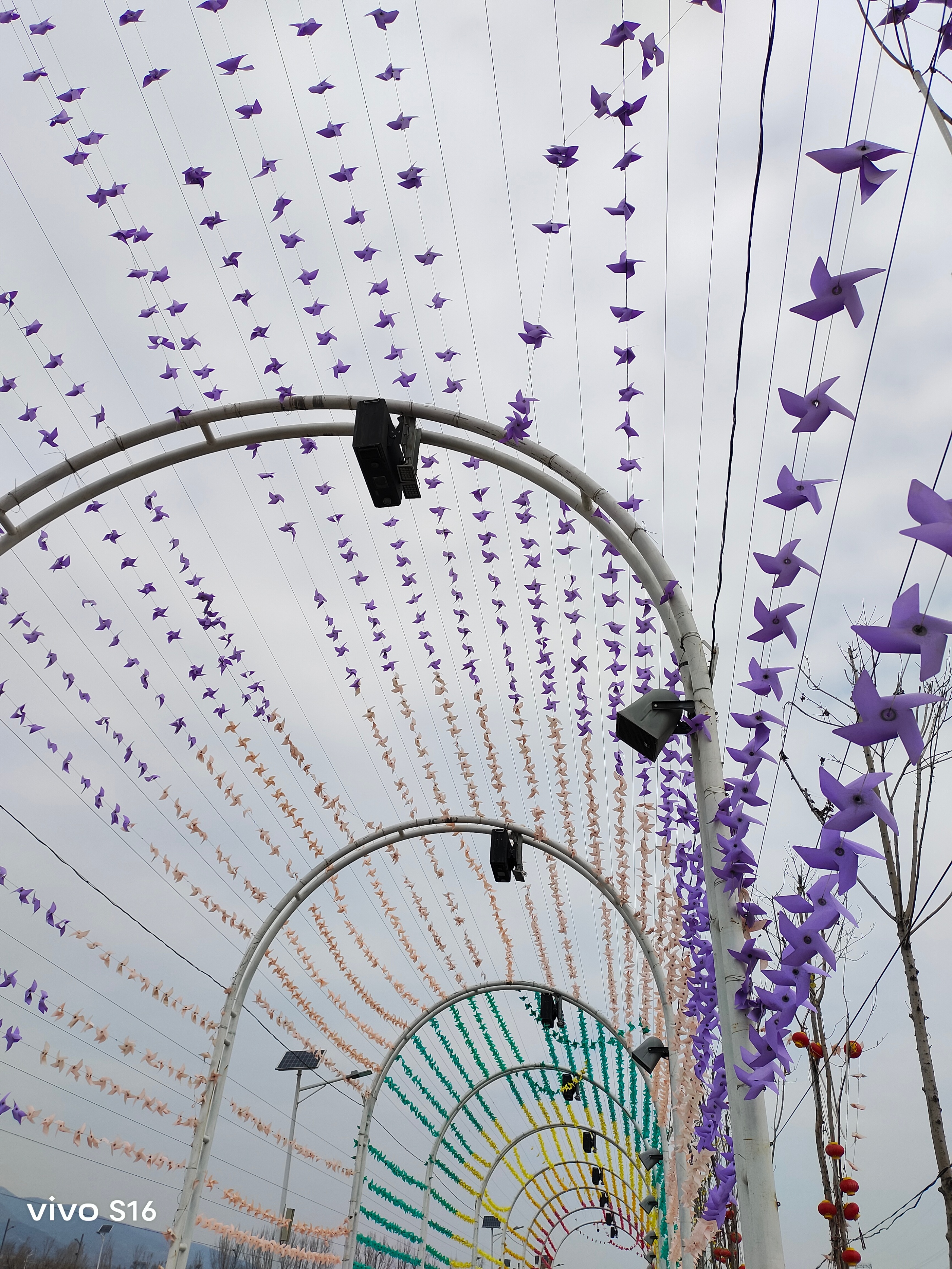 vivos16拍照水平是什么样子,vivos16系列中拍照最好的手机最新