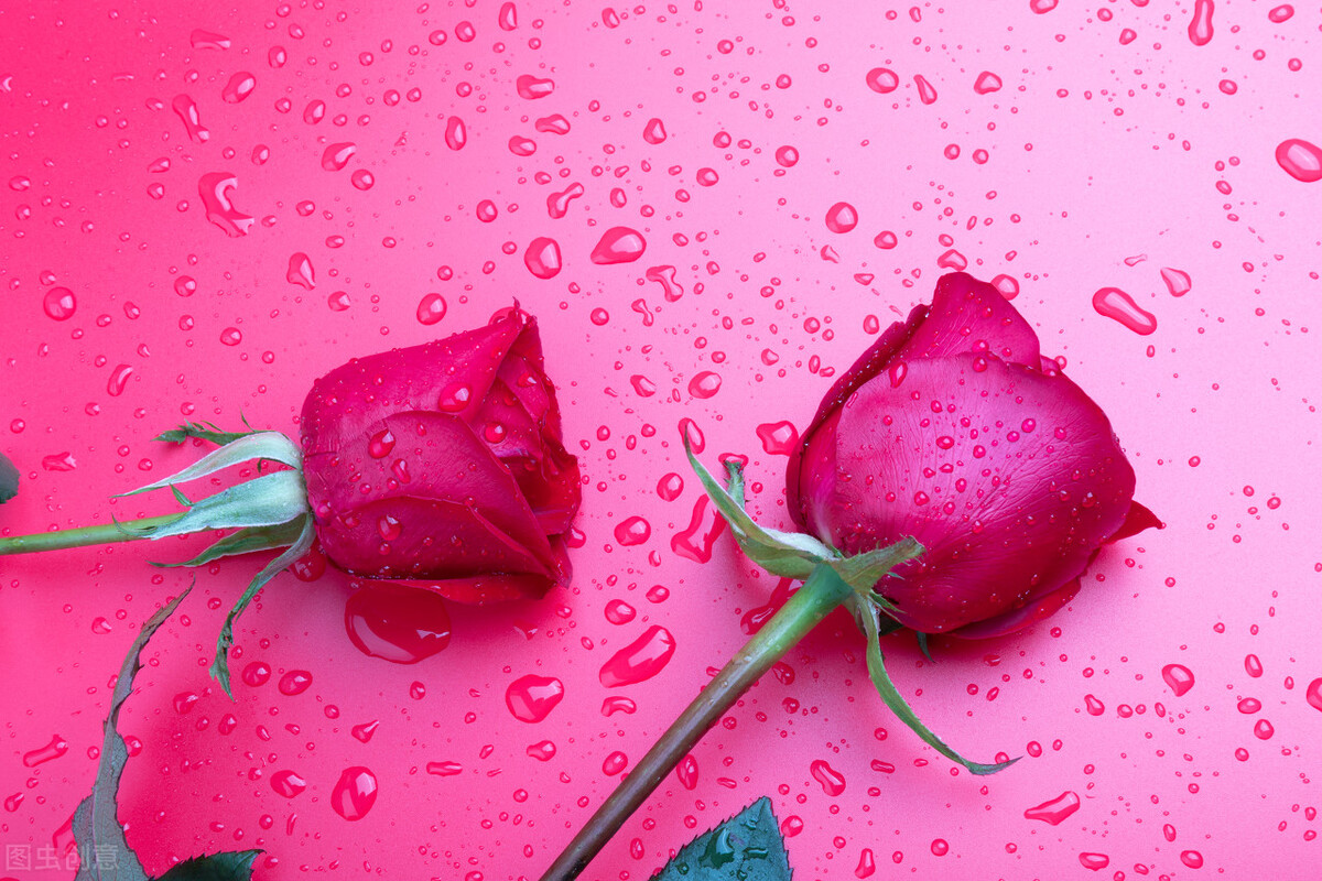 如何向女生表白送什么礼物,如何向女生表白诗