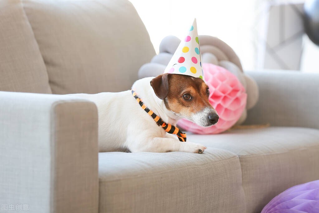 生日表制作,生日日历表怎么自己制作简单版