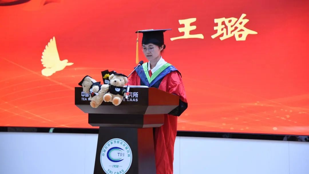 中茶研究生,中茶研究所