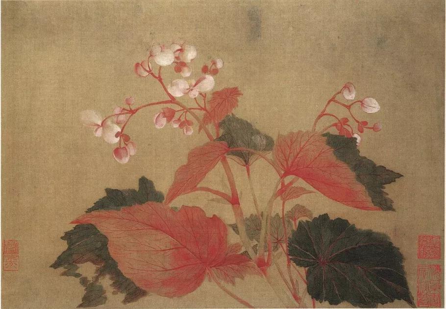 清代九大名家花鸟册页欣赏,清朝九大名家花鸟山水图