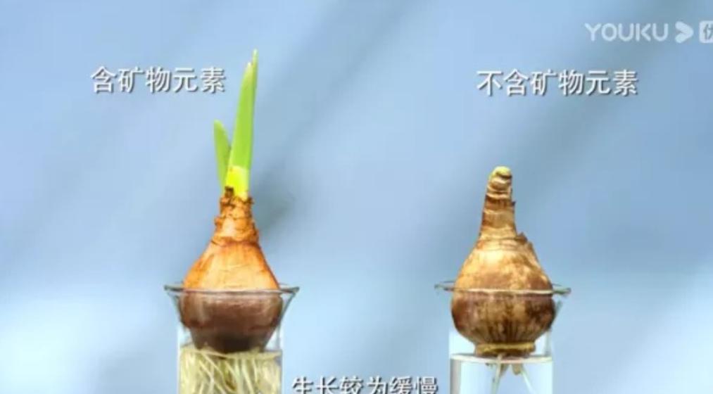 农夫山泉背后顶级的经营思维,经营之道农夫山泉