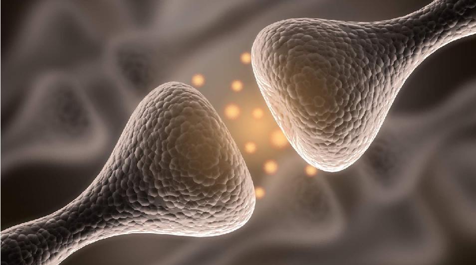 男性的乳头是用来干嘛的？除了区分“正反面”，还有这四个作用