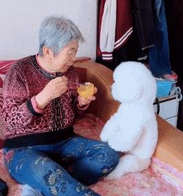 比熊为什么在家里面最听你的话,怎么判断比熊爱不爱自己