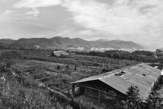 中国金茂与金茂地产,中国金茂是哪个地产公司