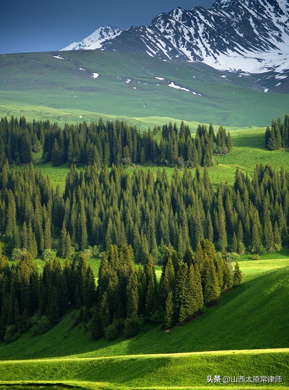 干股型受贿犯罪中的受贿金额,干股型受贿金额如何认定