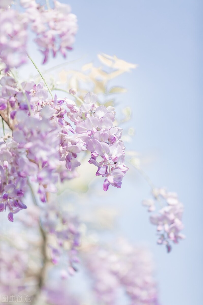 我是人间惆怅客知君何事泪纵横,我是人间惆怅客问君何时泪纵横