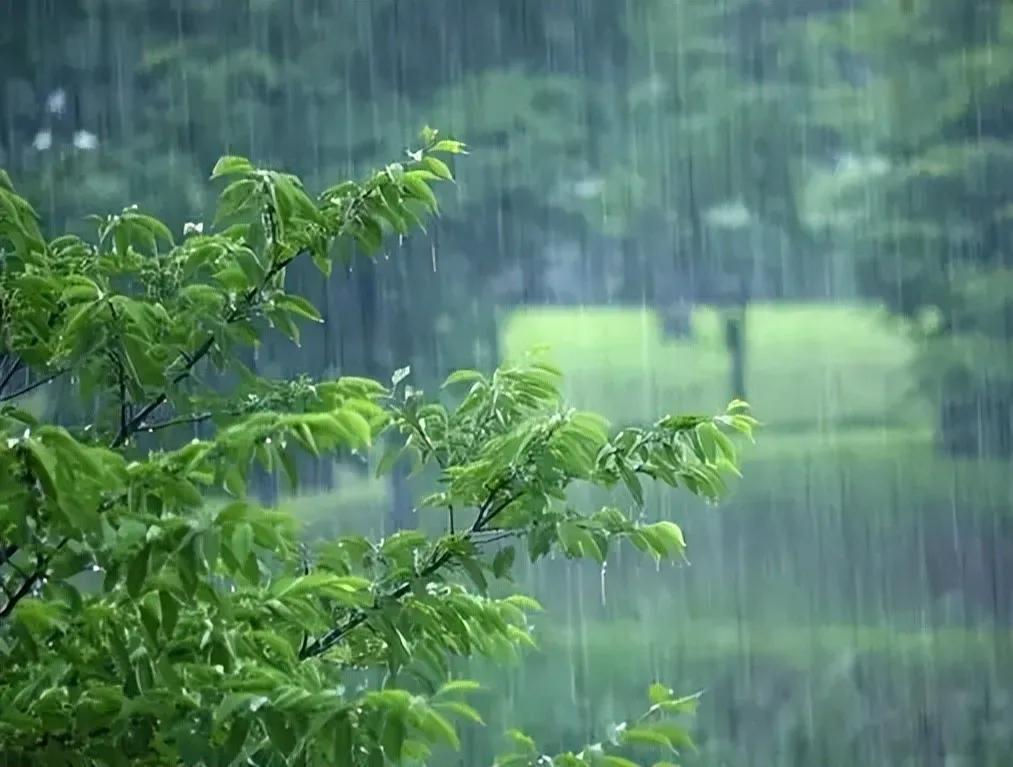 故乡的夏,故乡的雨
