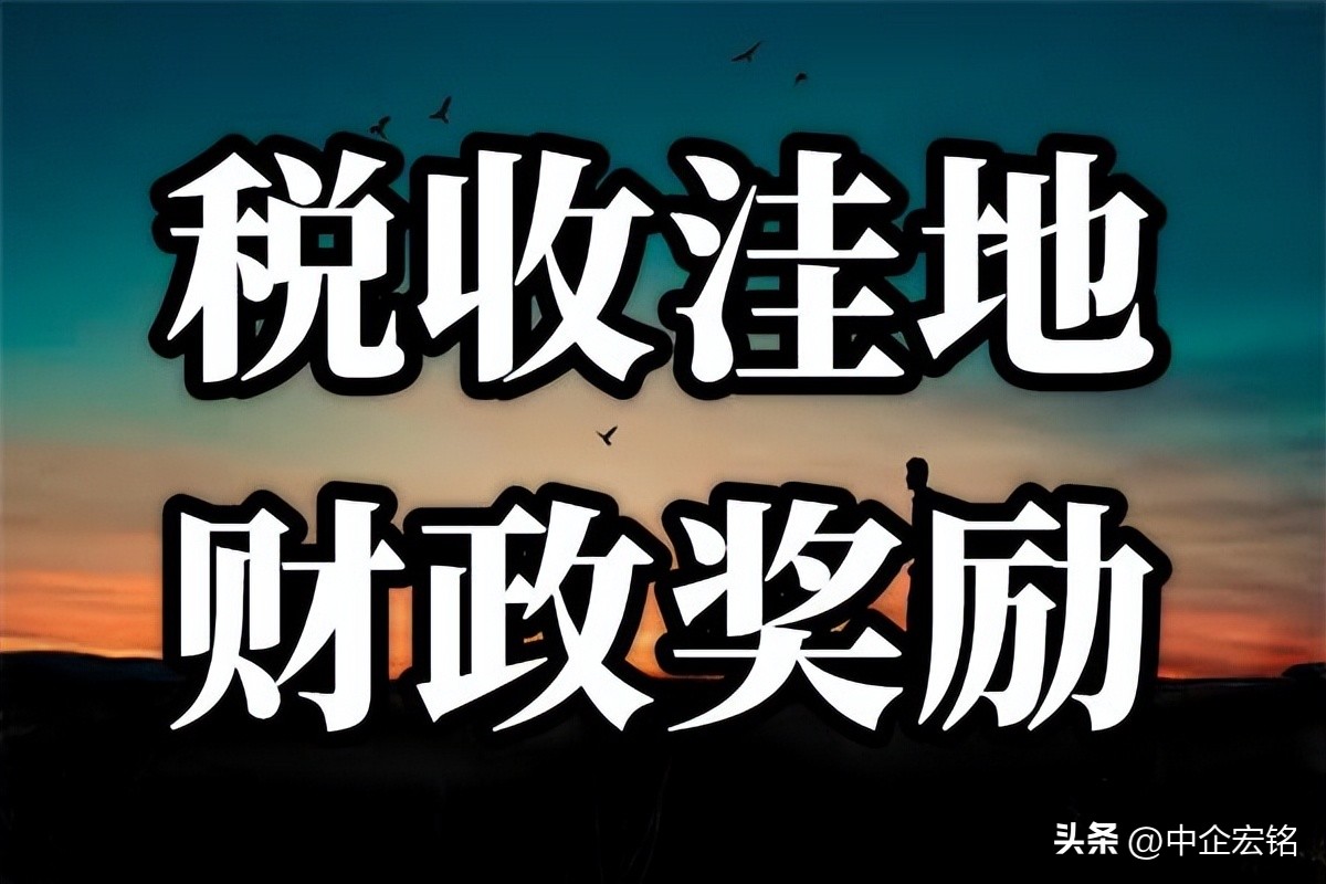 增值税纳税筹划的常见方法有哪些,生产制造企业的增值税的纳税筹划