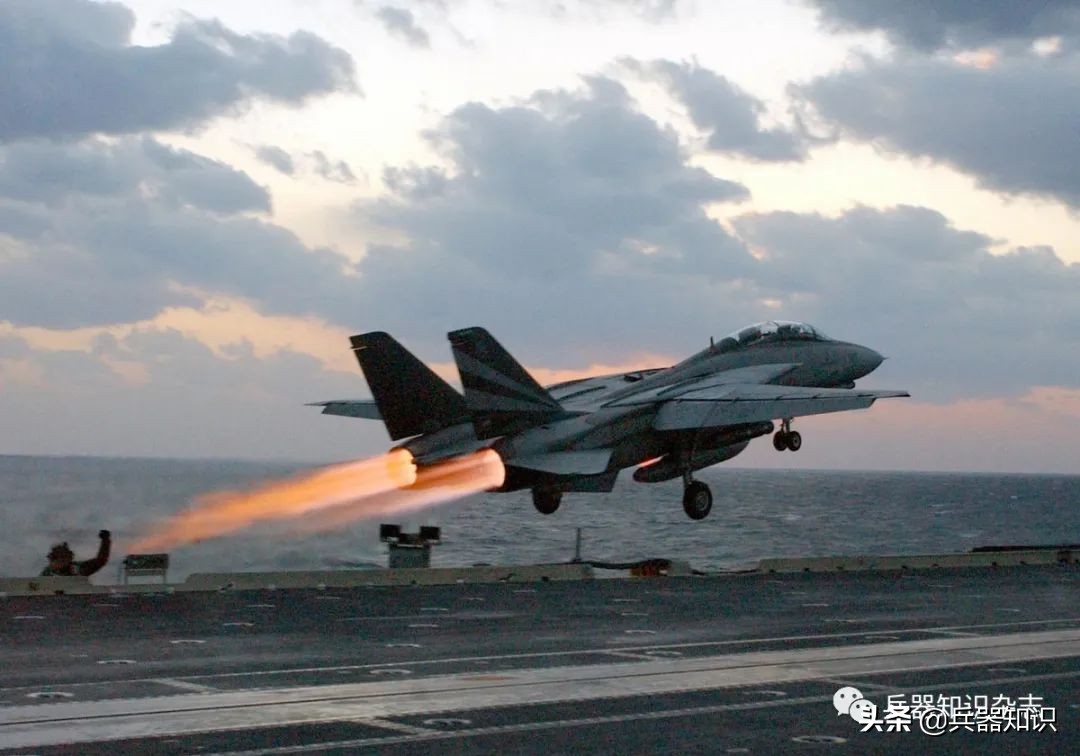 飞天的猫,飞天的猫和鱼