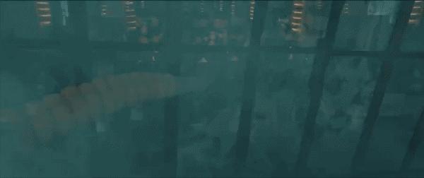 当年人蛇大战电影用了多少蛇 (人蛇大战最新一期)