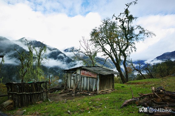 最好的旅行自行车是哪一款,最好的公路自行车推荐