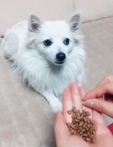 女厕的诡异事件,诡异女厕