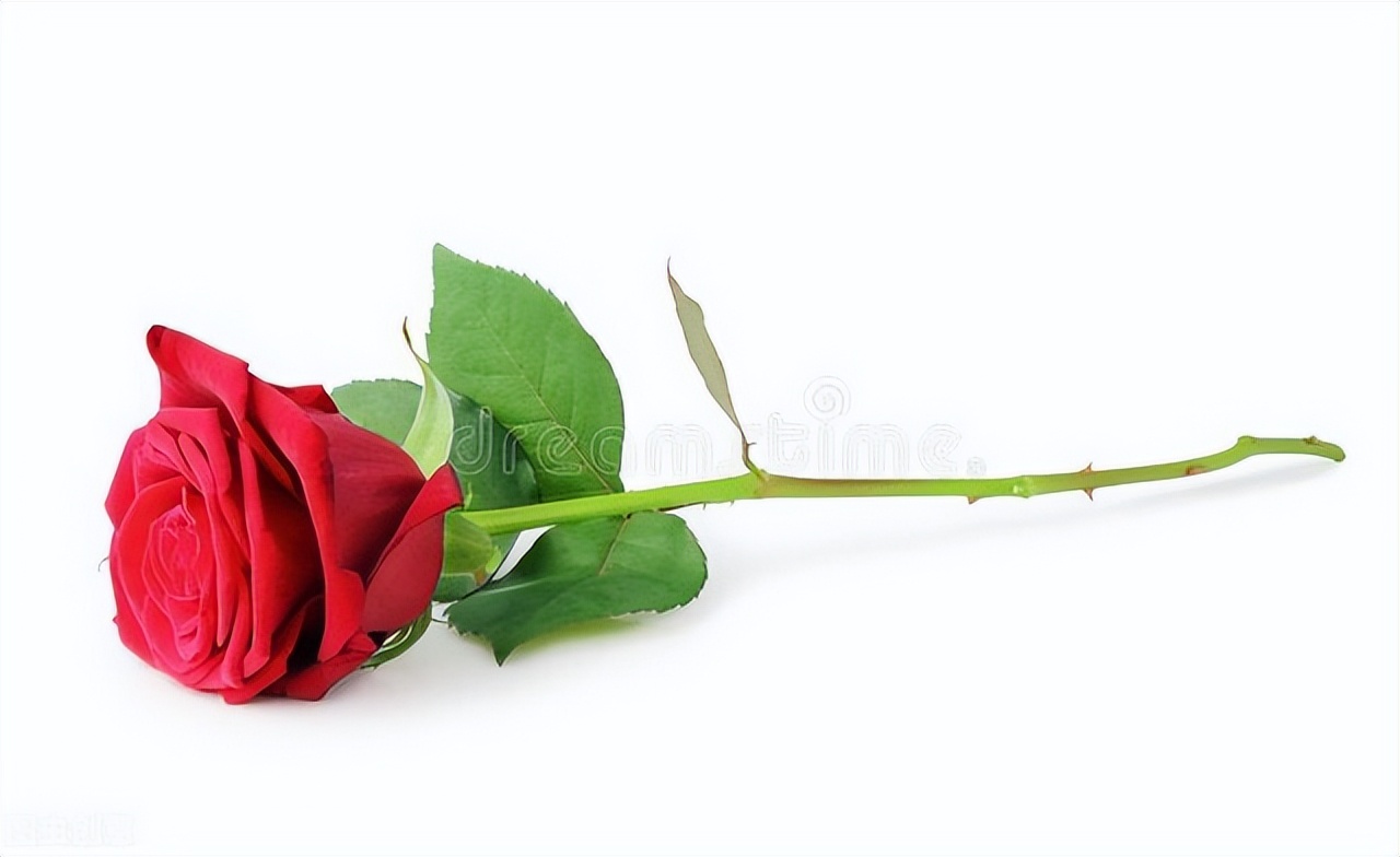 受了委屈怎么办,当你受到委屈时怎么办