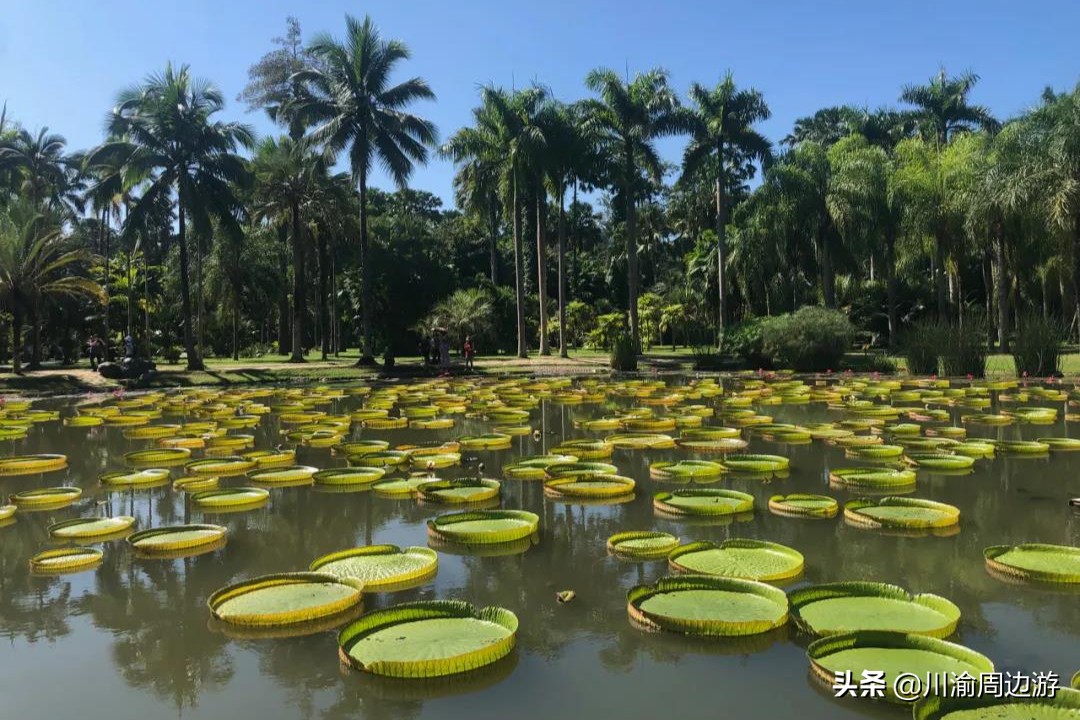 云南最适合旅游的城市排名前十,云南旅游值得去的城市排名