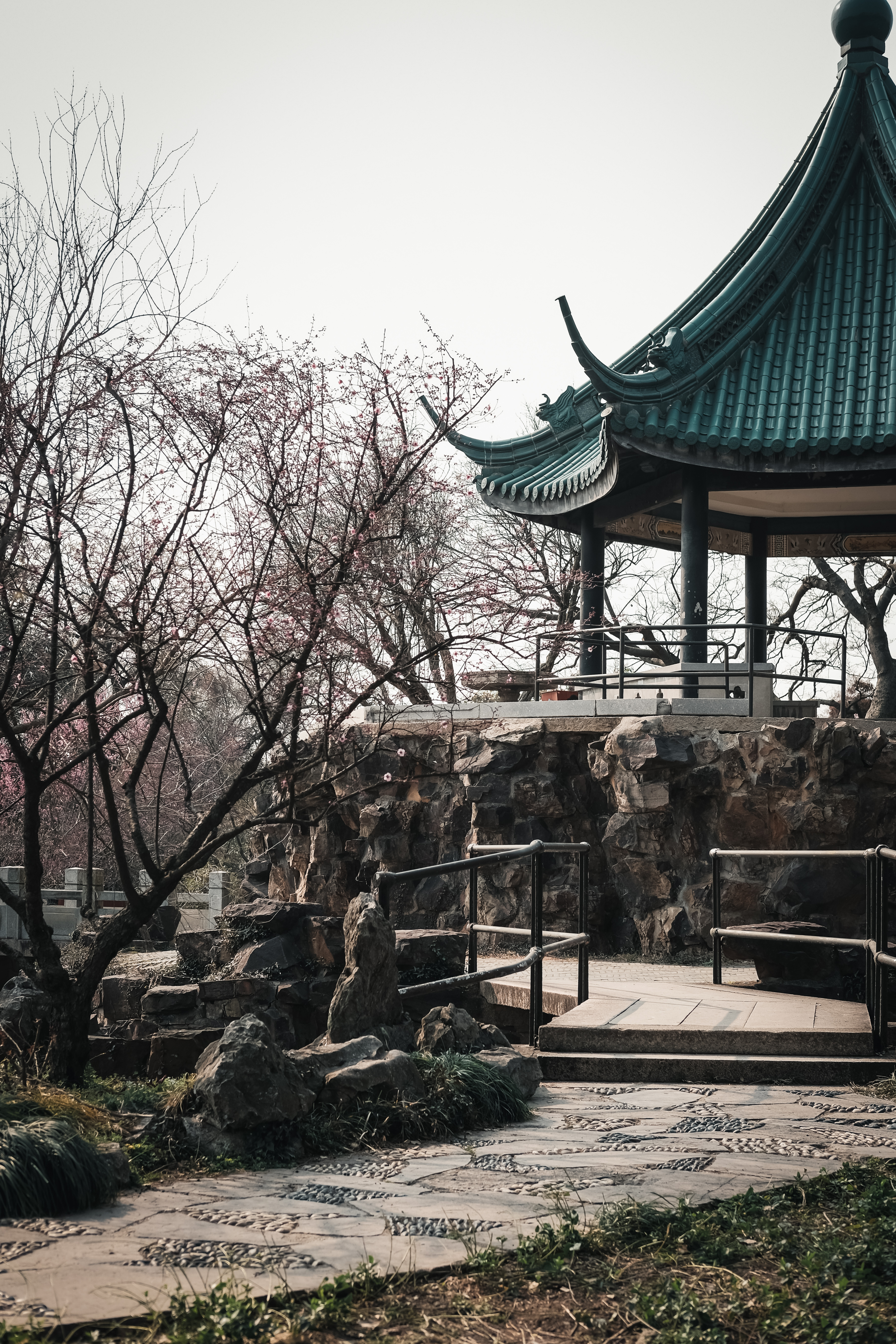 老梅园，你没有游览到；你游览的只是新梅园