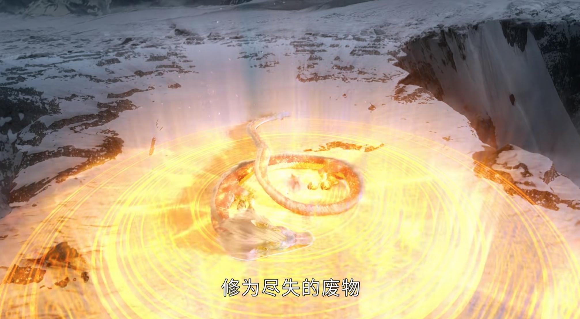 少年白马醉春风侯明昊出圈,侯明昊周也护心直播回放