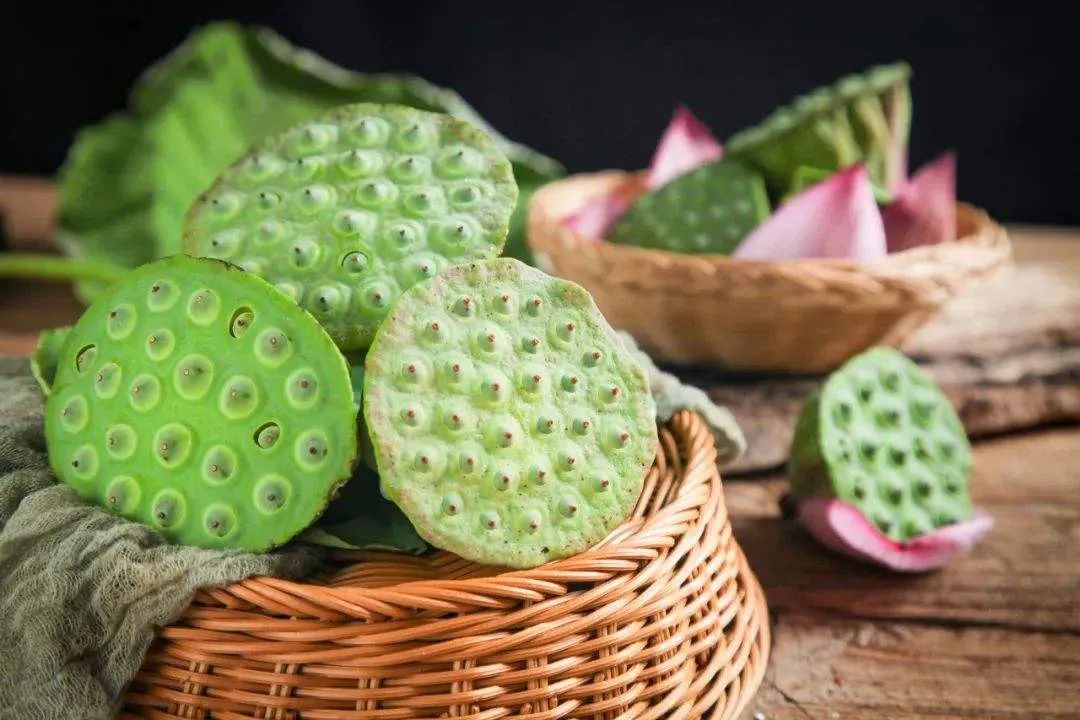 描写莲子长参的诗词,形容莲子好吃的诗句