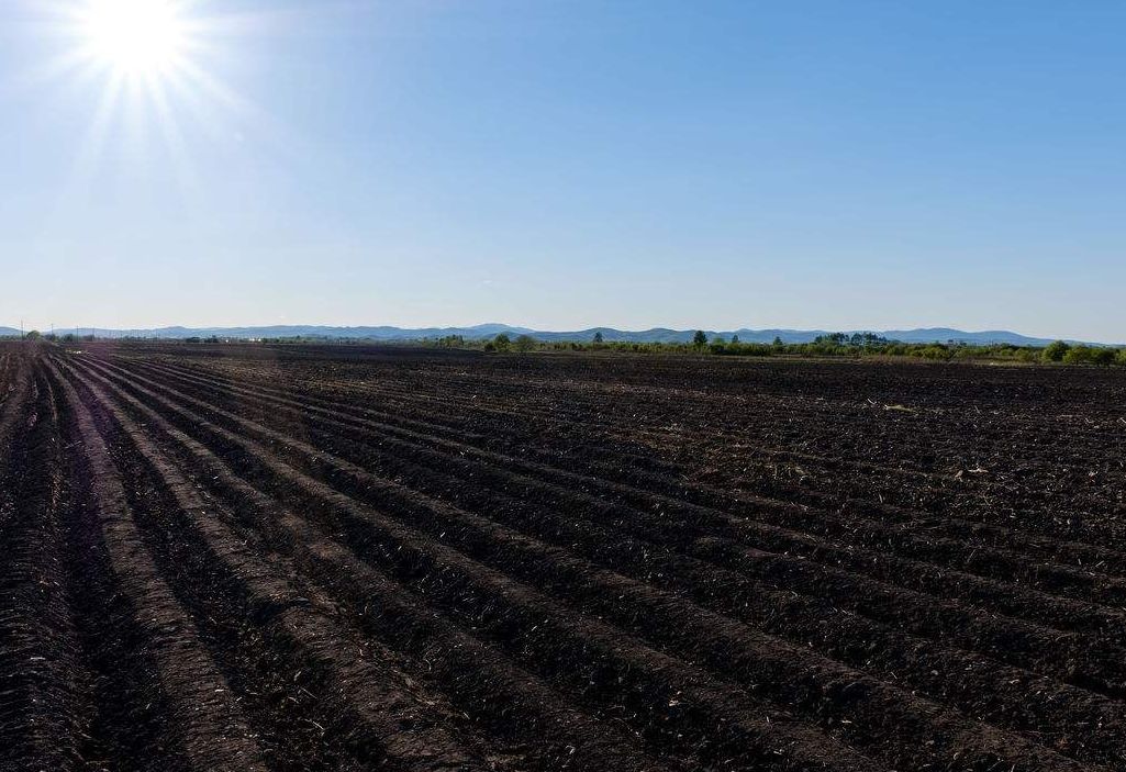 最好吃的东北大米鉴别,东北大米最好吃地方