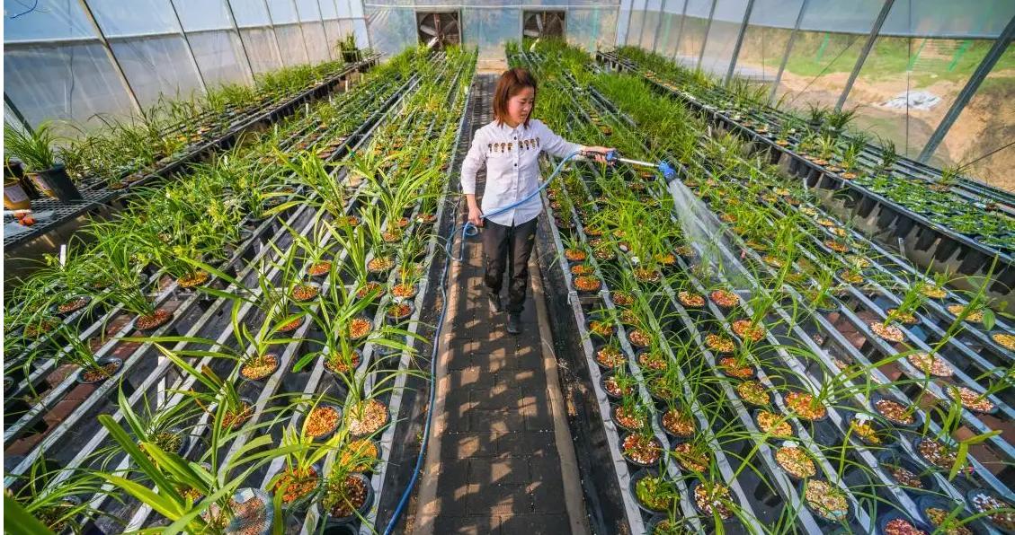 农村小伙创业养青蛙,打工小伙养殖青蛙