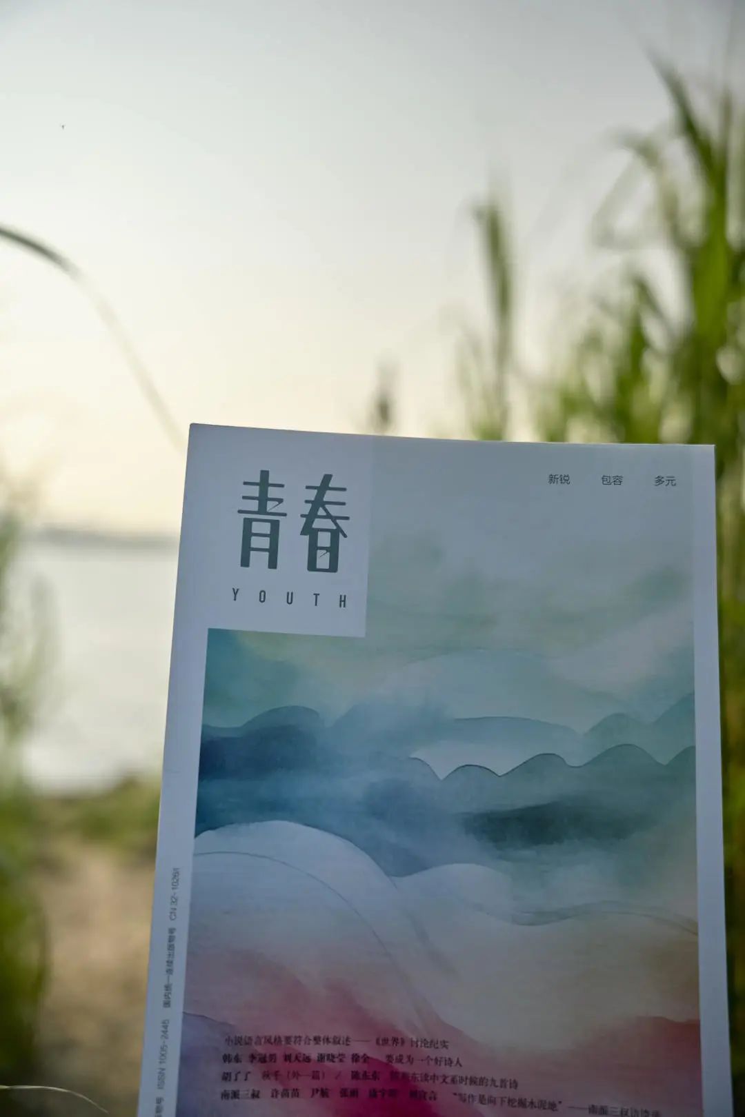 大鱼河图/厦门大学李一鸣|新视界