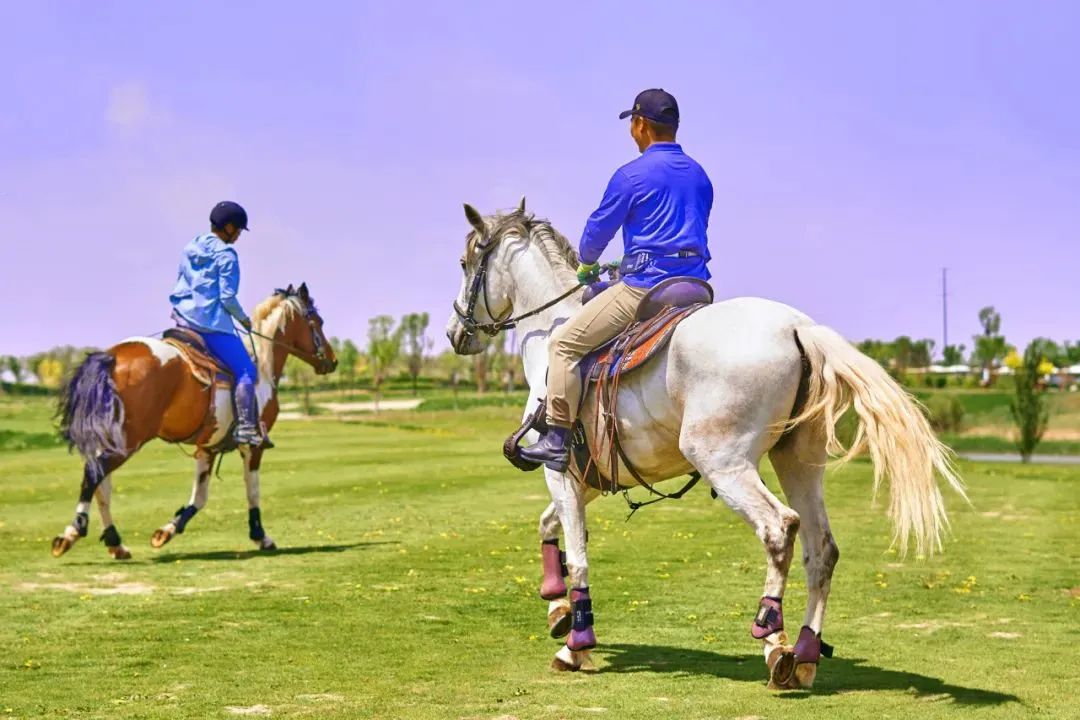 博冠天文望远镜赏星版,博冠瞭望系列望远镜