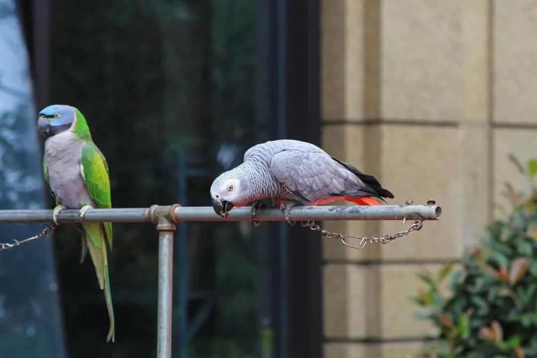 深圳最顶级的批发市场,深圳值得逛的批发市场
