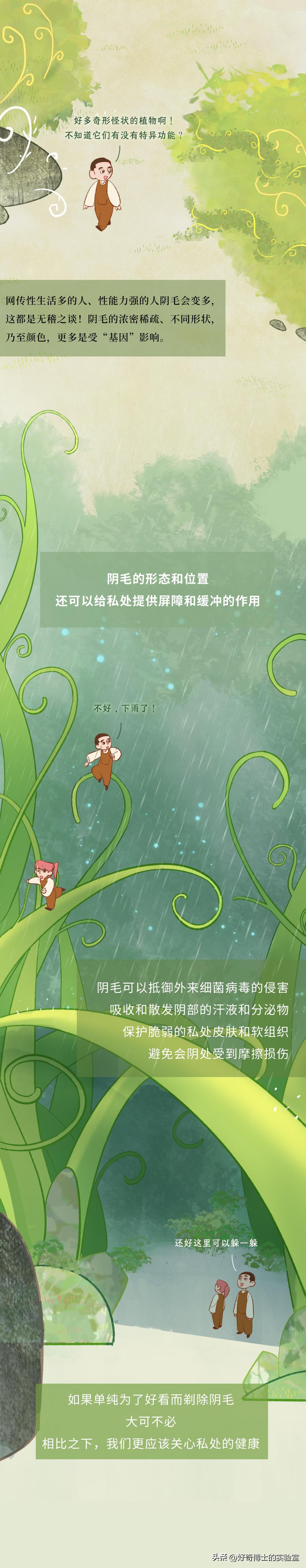 为什么头发浓密眉毛却很稀少,为什么头发是直的体毛是卷的